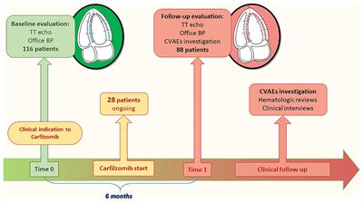 Effects of Carfilzomib Therapy on Left Ventricular Function in Multiple Myeloma Patients